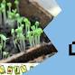 Growing Food and Flowers with the Burnie Seed Library event image