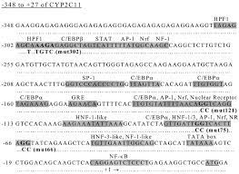 Everything in the reflect package assumes that you know what you are doing and many of the function and method calls will panic if. Regulation Of Cyp2c11 By Dehydroepiandrosterone And Peroxisome Proliferators Identification Of The Negative Regulatory Region Of The Gene Molecular Pharmacology