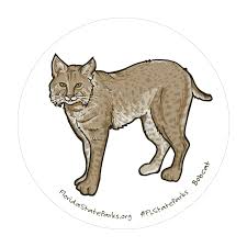 Do you know the state symbols of florida? Critter Sheets Florida State Parks