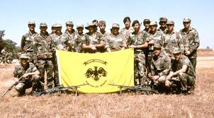Rhodesian Light Infantry Military Special Forces Military Heroes African History