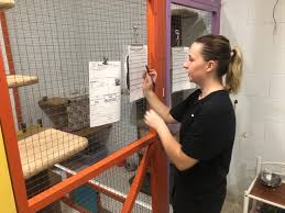 If you're searching for a daycare near me, the lafayette family ymca is a safe. Gallery Helga S Pet Resort