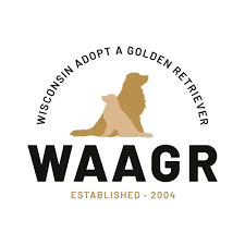 Golden meadows retrievers differs from the average breeder. Wisconsin Adopt A Golden Retriever Home Facebook