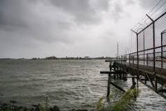Image result
