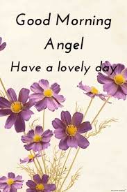 Best Good Morning HD Images, Wishes, Pictures and Greetings