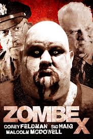 Image result for Exacum zombense