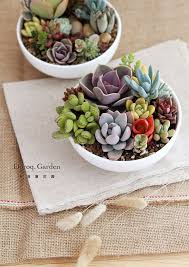 Erstaunliche Diy Sukkulenten Garten Dekor Ideen 63 Dekor Erstaunliche Gardendecorationideas Garten Ideen Sukkulenten Diy Sukkulenten Sukkulententerrarium