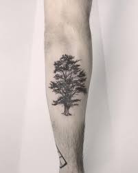 On the font images below, you have 70 different types / lettering and design fonts. Lebanese Cedar Tree Tattoo By Annelie Fransson Cedar Trees Tree Tattoo Tattoos