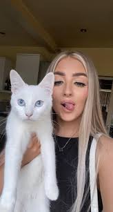 Lost Puppy in Summit County