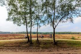 In navolging van het succesvolle 'fietsen door het water' en binnenkort 'fietsen door de bomen' gaat toerisme limburg op maandag 3 juni van start met de nieuwe fietsbrug zal dwars door de heide van nationaal park hoge kempen lopen, dat kandidaat is voor een erkenning als unesco werelderfgoed. Fietsen Op De Veluwe Meer Dan 40 Mooie Fietsroutes