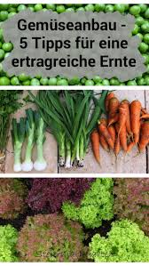 Ihr Wollt Auch Frisches Gemuse Aus Dem Eigenen Garten Ernten Hier Sind Unsere Tipps Fur Eine Ertragreiche Gemu Garten Ideen Gemuse Gemuse Pflanzen Gemuseanbau