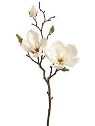 Buy the best and latest magnolia artificial flowers on banggood.com offer the quality magnolia artificial flowers on sale with worldwide free shipping. This Item Is No Longer Available Shyolkovye Cvety Tatuirovki S Magnoliyami Magnoliya