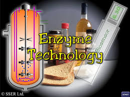 5 Enzymetechnology