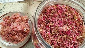 Truly pretty in pink, don't wait for the buds of the bunga kantan or torch ginger to bloom.if you're a cook, what you want are its pale pink buds. Bunga Kantan Or Torch Ginger Flower Youtube