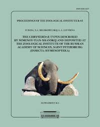 The Chrysididae types described by Semenov-Tian-Shanskij and deposited at  the Zoological Institute of the Russian Academy of Sci