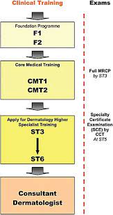 Navigating Dermatology Training In The United Kingdom - Indian Journal Of  Dermatology, Venereology And Leprology