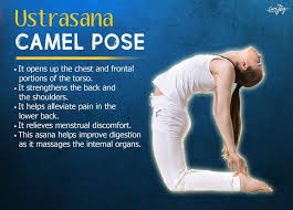 Pin By Mythili Arumugam On Nice Yoga Yoga Asanas Wellness Yoga Yoga Benefits