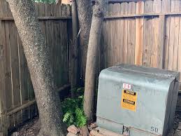 Check spelling or type a new query. Help Need Help Ideas To Mask This Ugly Green Box In Corner Of Yard Not Level And Trimming Trees Now But It Is Really Ugly Landscaping