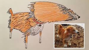 We offer free shipping worldwide, and we guarantee that your artwork. Rubbish Pet Portraits Raise 5k For Homeless Bbc News