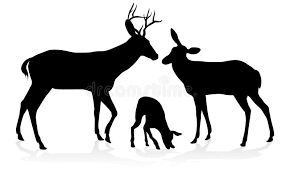 We did not find results for: Deer Family Silhouettes Stock Vector Illustration Of Design 120623955