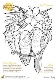 dessin a colorier mandalas polynesie les oiseaux hugolescargot com oiseau coloriage de visages femmes