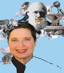 A grand success at Bellport Day