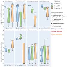 Xiang xiang li culture weibo: Bg Effects Of Tidal Influence On The Structure And Function Of Prokaryotic Communities In The Sediments Of A Pristine Brazilian Mangrove