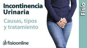 Incontinencia urinaria - Qué es, causas, tipos de incontinencia y cómo  tratarlas - YouTube