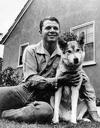 Audie Murphy With Family Dog Important People In History Old Movies American Heroes