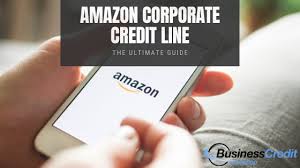 You can choose the amount of available points you wish to redeem. Amazon Corporate Credit Line The Ultimate Guide