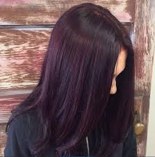 In this tutorial i'll show you the complete steps to go from black hair to plum coloured hair, no bleach needed. 30 Plum Hair Color Ideas Trending Right Now