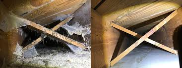 Maybe you would like to learn more about one of these? Sani Clean Michigan S Top Rated Air Duct Cleaning Specialists