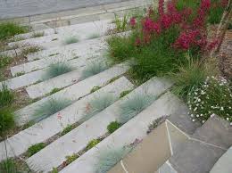 Moderne Betontreppe Bauen 22 Ideen Fur Innen Und Aussentreppen Steingarten Pflanzen Betongarten Garten Stufen