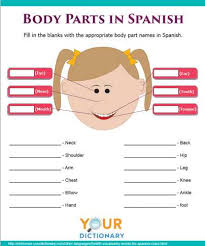 This worksheet is about illnesses. First Aid Vocabulary Worksheet The Y Guide