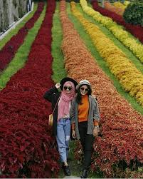 Selamat Pagi Libur Terakhir Di Bandung Yuk Photo By Emmaltfh At Rainbow Garden Floating Market Lembang Foto Wisata Instagram Fotografi