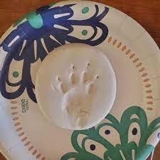 Hours may change under current circumstances Pet Loss At Home Home Euthanasia Vets 12 Photos Veterinarians Pittsburgh Pa Phone Number Yelp