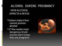 4 3 Other Effects Of Alcohol Alcohol During Pregnancy How Alcohol Affects A Fetus Unborn Baby S Liver Cannot Process Alcohol 1 St Few Weeks Most Dangerous Ppt Download