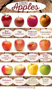 A Baker S Guide To Apples Recipes Healthy Recipes Food Facts