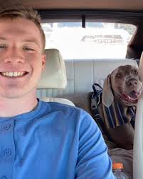 The Cavaliers (@thecavaliers_mellos) • Instagram photos and videos