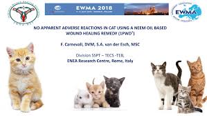 Maybe you would like to learn more about one of these? Pdf No Apparent Adverse Reactions In Cat Using A Neem Oil Based Wound Healing Remedy 1pwd