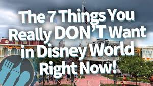 Sign up for our newsletters. The 7 Things You Really Don T Want In Disney World Right Now Youtube