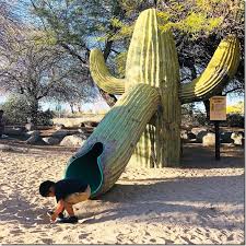 Nearby schools in desert hot springs. The Living Desert Cactus Garden Healthy Coconut
