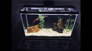 34.2 in l x 4 in w, light with adjustable we all know how crazy we are about our pets, even the ones in the aquarium. New Nicrew Led Aquarium Light Unboxing And Installation Youtube