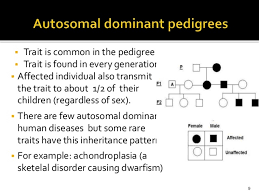 Pedigree Analysis