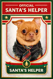 Erin Eifert (@erin.eifertsanders) • Facebook