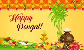 Pongal 2018 Date Significance Mythology Related To Tamil Harvest Festival India Com Do you have any images for this title?