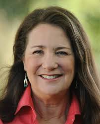 Can an Uber-driving challenger dislodge Diana DeGette from a safe  congressional seat?