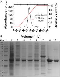 6 healthcare dr ste 2. Frontiers Structural And Kinetic Insights Into The Molecular Basis Of Salt Tolerance Of The Short Chain Glucose 6 Phosphate Dehydrogenase From Haloferax Volcanii Microbiology