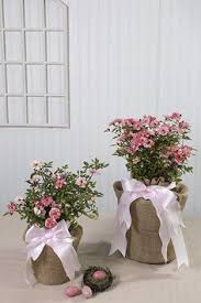 Send flowers cheap without losing out on the quality of your favorite floral arrangements. 27 Pet Sympathy Ideas Pet Sympathy Sympathy Gifts Pet Sympathy Gifts