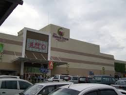 We did not find results for: Elak Kerugian Pusat Beli Belah Aeon Mahkota Cheras Bakal Ditutup