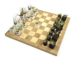 Air Plant Living Chess Set Bamboo Board Chess Set Bamboo Board Unique Items Products